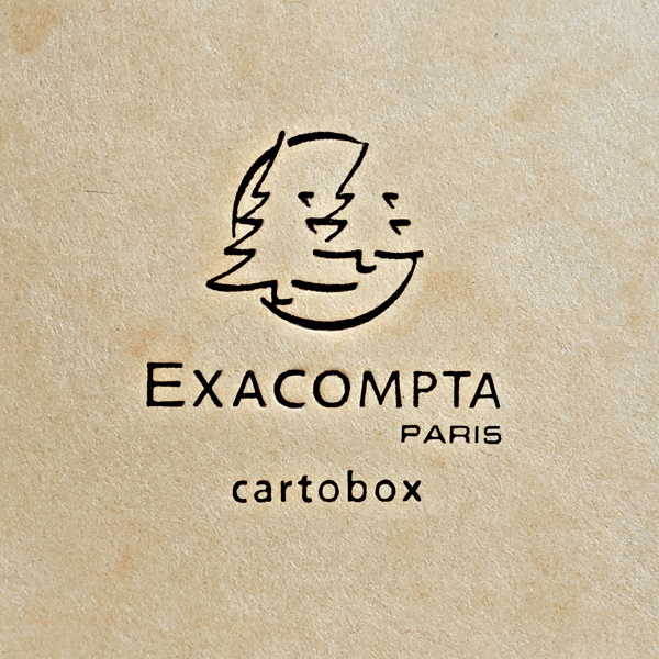 EXACOMPTA Sammelbox Cartobox, DIN A4, 25 mm